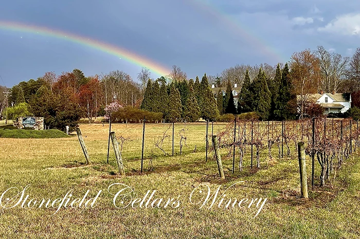 Stonefield Cellars Winery